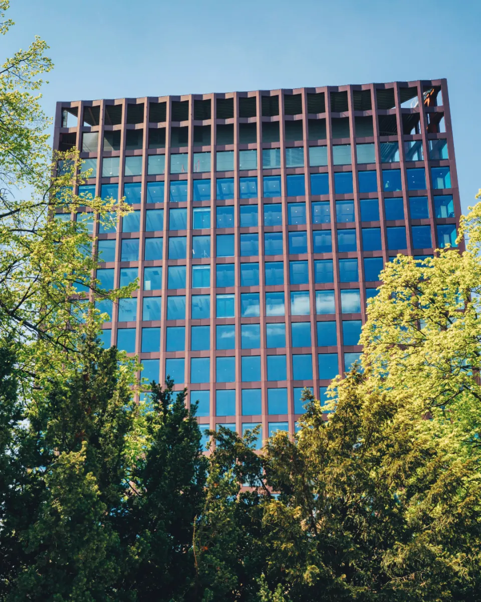 Reviewing an equity grant across two tax systems